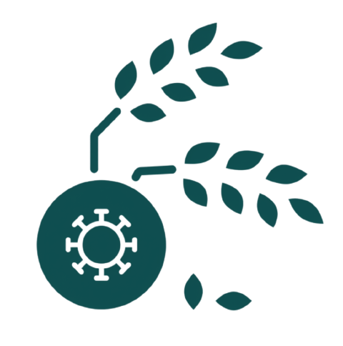 Harvest Loss Calculator